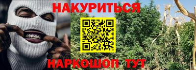 a pvp Моздок