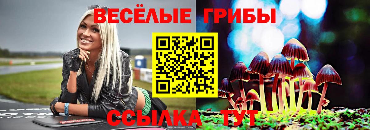 Волгоград  Псилоцибиновые грибы Psilocybe  Вход с VPN  Галлюциногенные грибы Magic Shrooms 